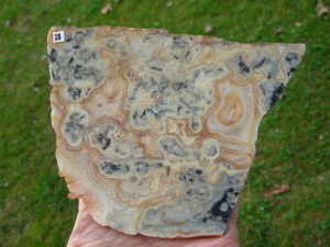Crazylace Agate 18 (1)