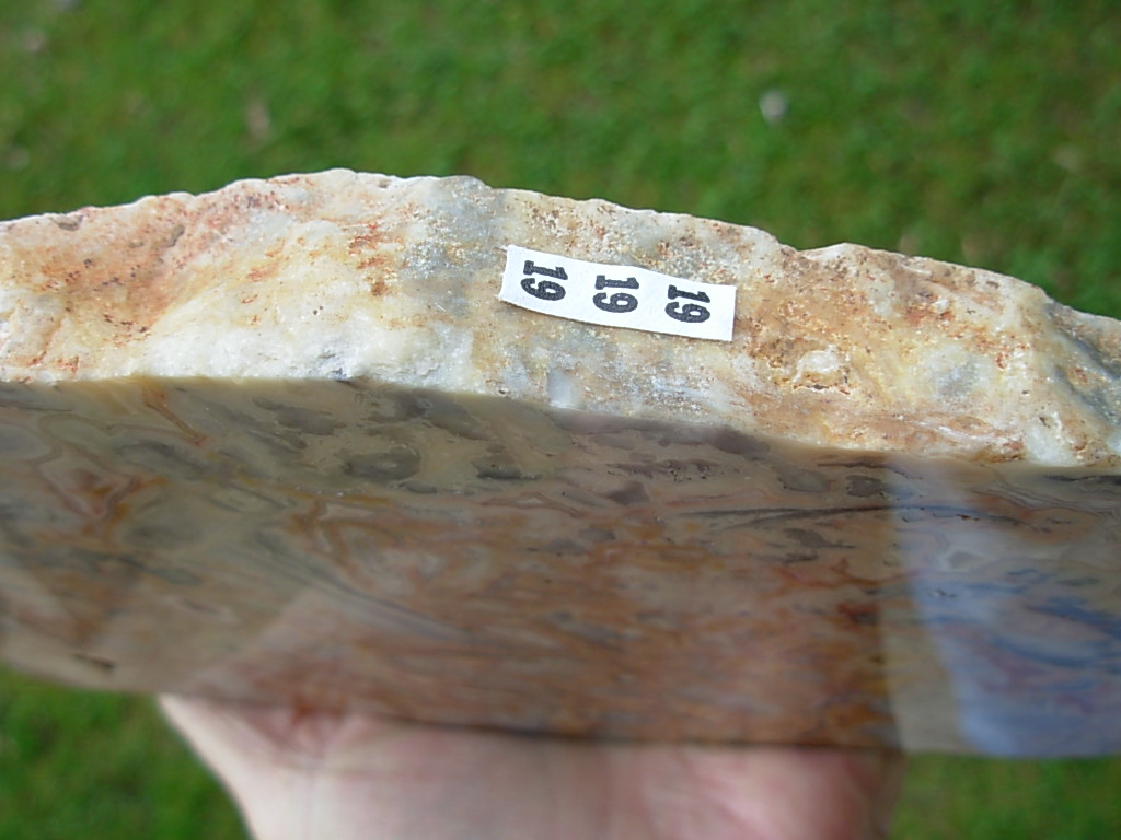 Crazylace Agate 19 (1)