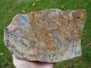 Crazylace Agate 19a (2)