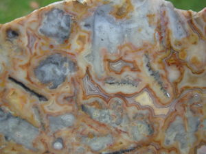 Crazylace Agate 19a (4)