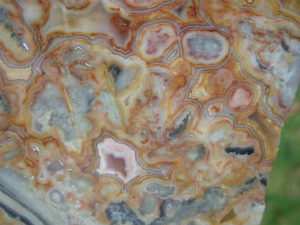 Crazylace Agate 19a (5)