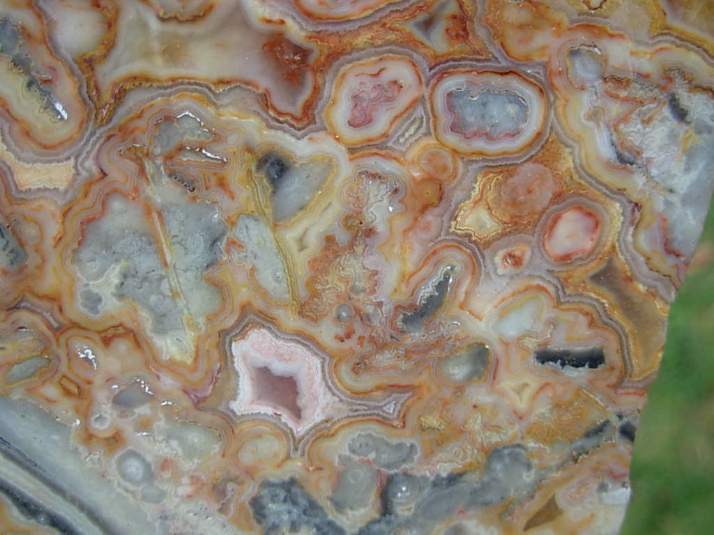 Crazylace Agate 19a (5)