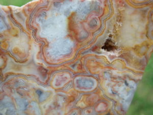 Crazylace Agate 19a (6)