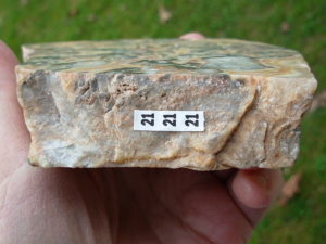 Crazylace Agate 21 (2)