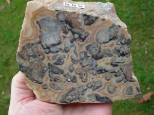 Crazylace Agate 21 (3)
