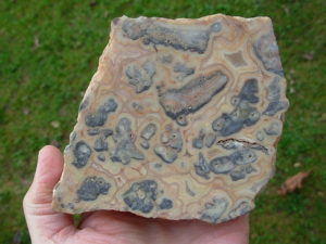 Crazylace Agate 21 (4)