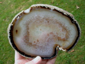 Agate Slab 4 (2)