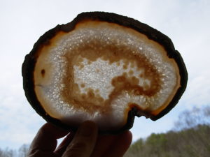 Agate Slab 4 (3)