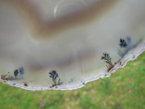 Agate Slab 8 (2)
