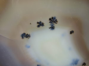 Agate Slab 8 (3)