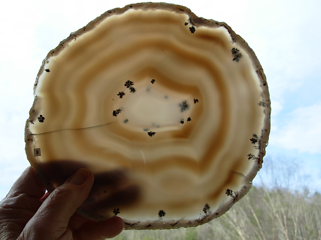 Agate Slab 8 (6)