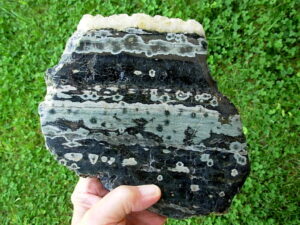 Ocean Jasper 1 (1)