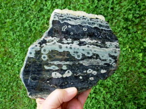 Ocean Jasper 1 (4)