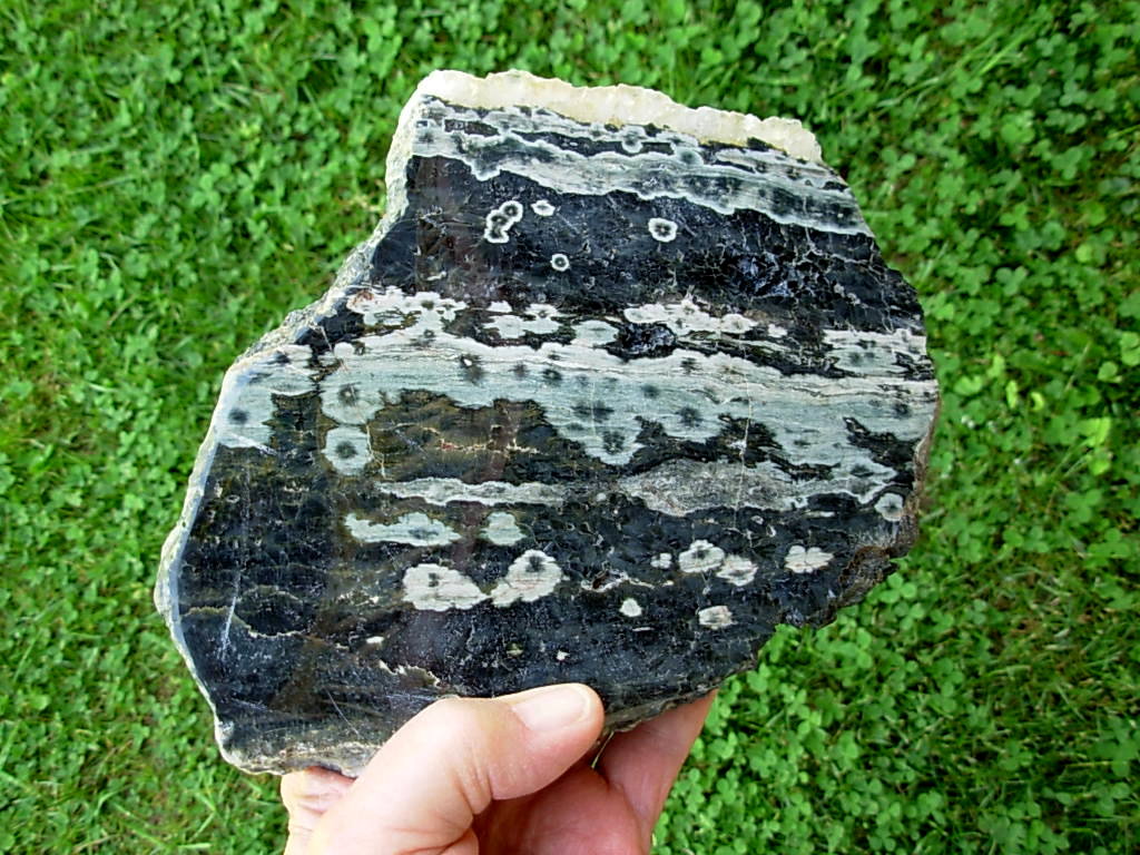 Ocean Jasper 1 (4)