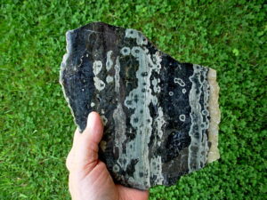 Ocean Jasper 1 (6)
