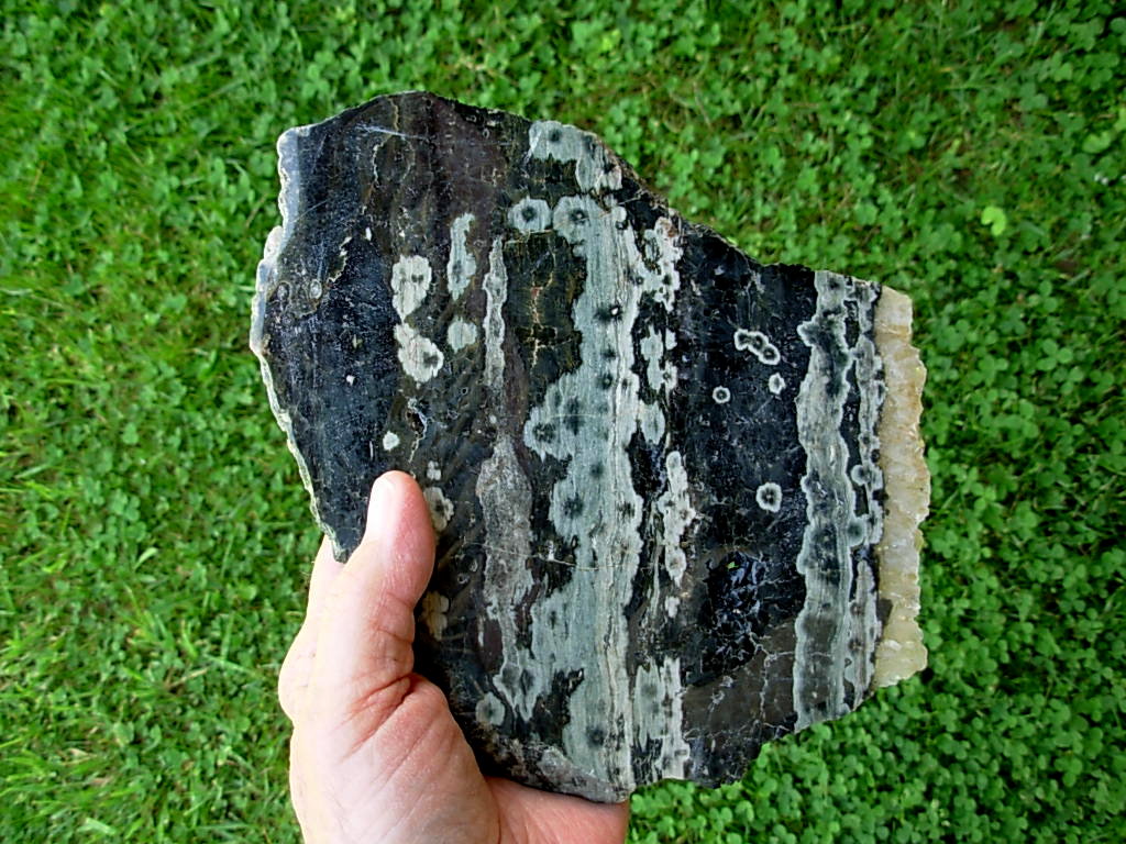 Ocean Jasper 1 (6)