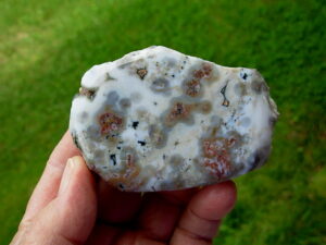 Ocean Jasper 10 (1)
