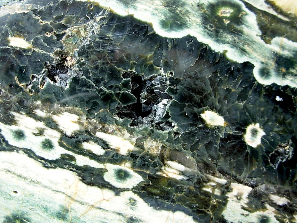 Ocean Jasper 1a (1)