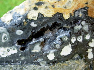Ocean Jasper 2 (11)