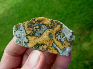 Ocean Jasper 5 (1)
