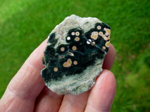 Ocean Jasper 6 (1)