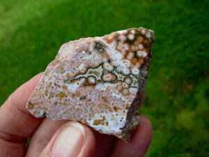 Ocean Jasper 7 (1)