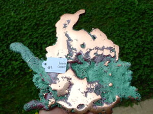 Splash Copper 11 (2)