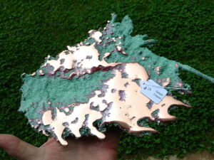 Splash Copper 12 (1)