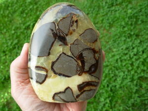Septarian_010