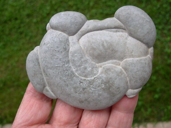 Glacial Concretion 1 "Exciting"
