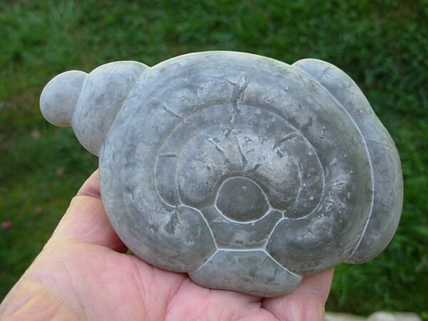 Glacial Concretion 12 "Explorer" - Image 2