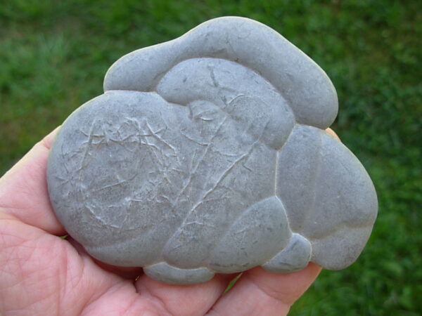 Glacial Concretion 13 "Beautiful One" - Image 2