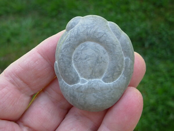 Glacial Concretion 20 "Strong One"