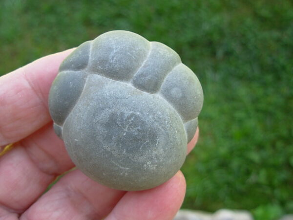 Glacial Concretion 6 "Loving Arms" - Image 2