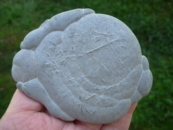 Glacial Concretion 7 "Hold On" - Image 2