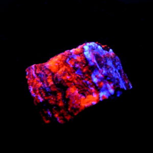 Fluorescent AZ 1 Pure Potential Mine