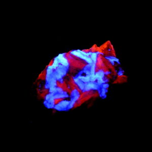 Fluorescent AZ 5 Pure Potential Mine