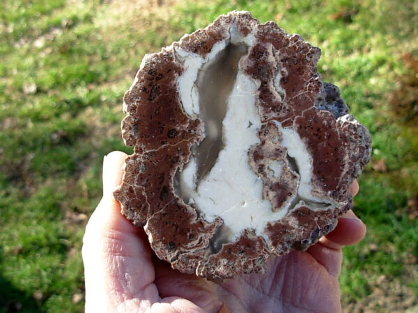 Ochoco Mountains 3-1/2" Polished Thunderegg Half 01