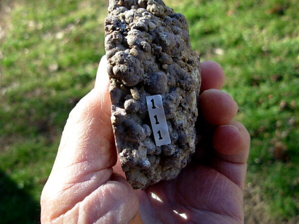 Ochoco Mountains 3-1/2" Polished Thunderegg Half 01 - Image 3