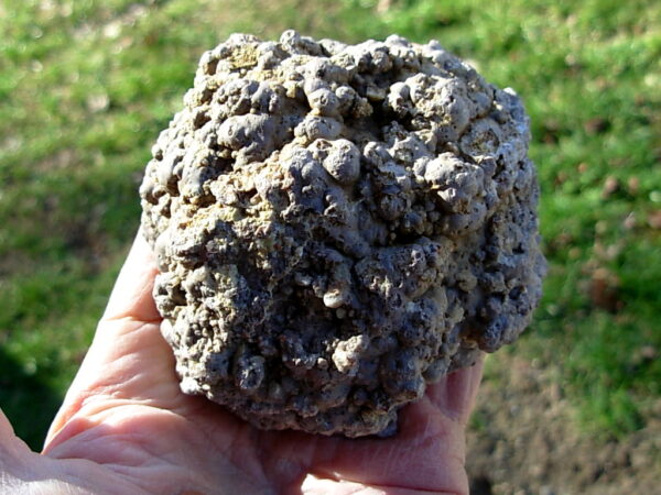 Ochoco Mountains 3-1/2" Polished Thunderegg Half 01 - Image 2