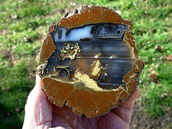 Oregon 3.7" Thunderegg Polished Half 03