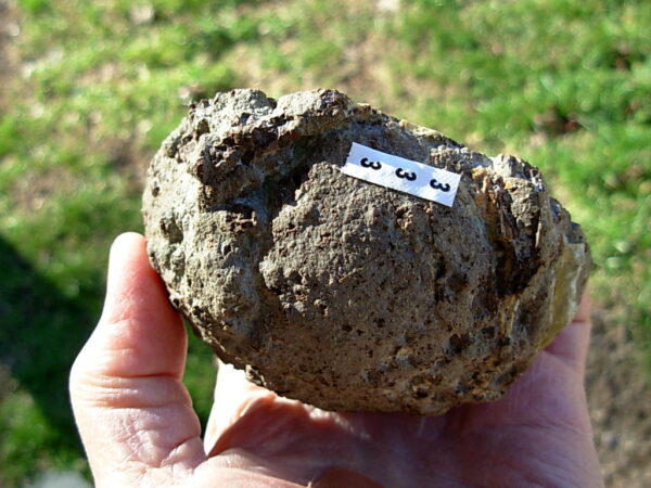 Oregon 3.7" Thunderegg Polished Half 03 - Image 2