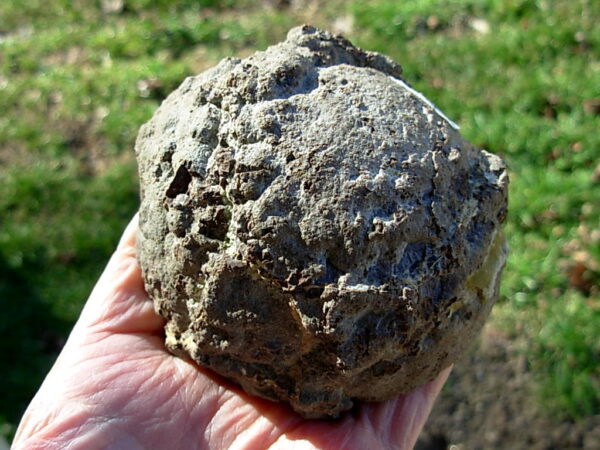 Oregon 3.7" Thunderegg Polished Half 03 - Image 3