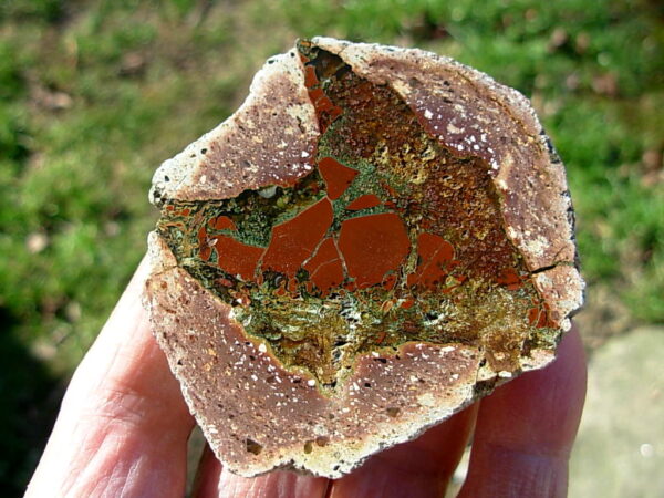 Rare Hohenstein-Ernstthal Thunderegg Polished Half #7