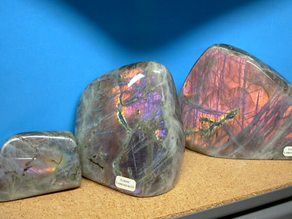 Cosmic Labradorite Display (2)