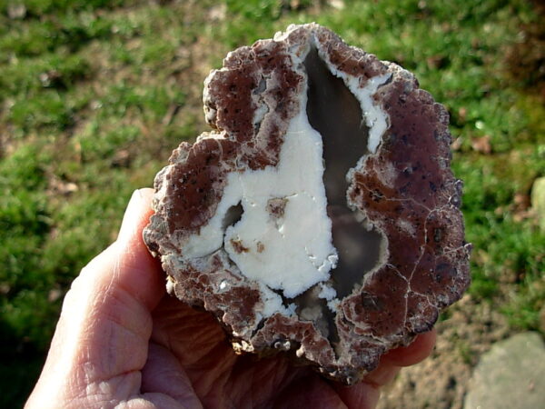 Ochoco Mountains 3.8″ Polished Thunderegg Half #5