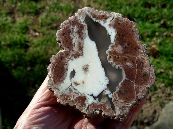 Ochoco Mountains 3.8″ Polished Thunderegg Half #5 - Image 4