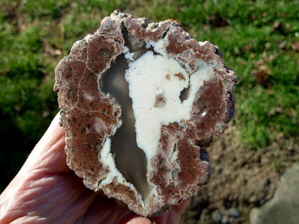 Ochoco Mountains 3.8″ Polished Thunderegg Half #5 - Image 5