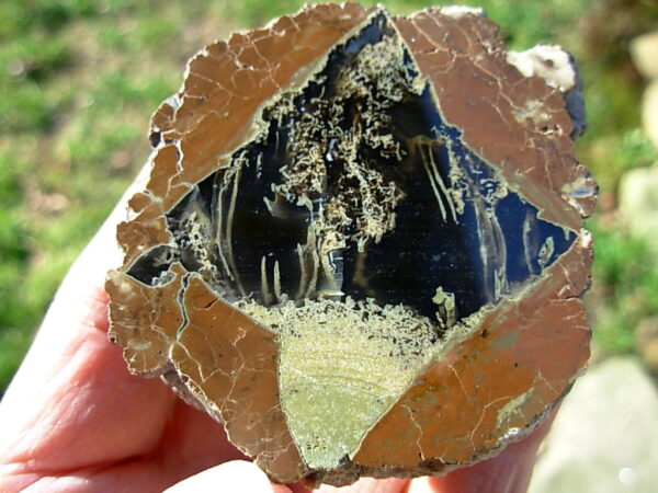 Pony Butte, Richardson Ranch Thunderegg Polished Half #6