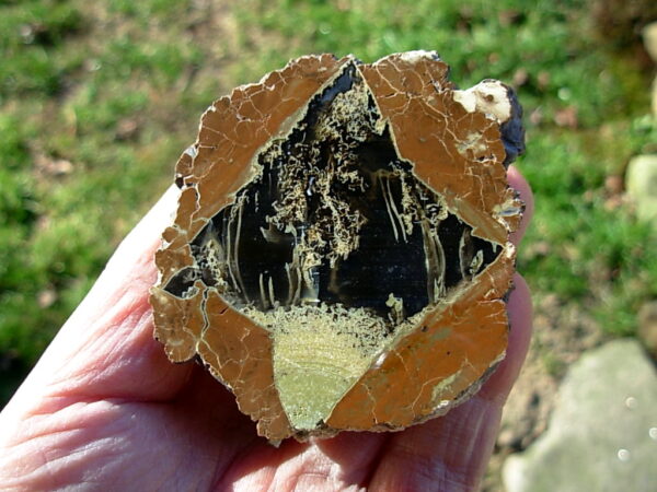 Pony Butte, Richardson Ranch Thunderegg Polished Half #6 - Image 3